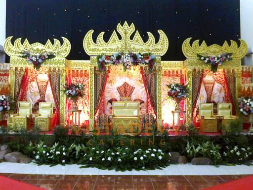 Pelaminan Vistadevy 14